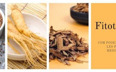 Fitoteràpia en un centre de nutrició: Les 5 principals afeccions dels pacients i la seva relació amb les plantes medicinals