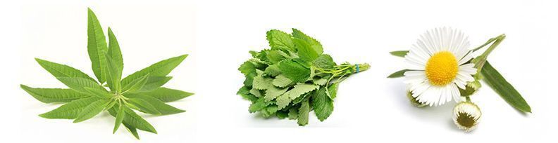 infusiones para el dolor de barriga