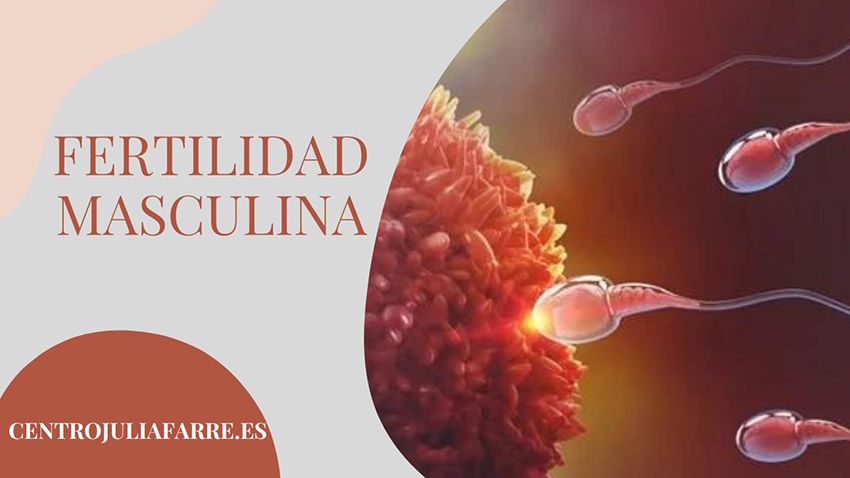 dieta para la fertilidad masculina